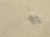 Vídeo: Um dia após inauguração, praça é alvo de furto e depredação, em Maceió