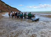 Baleia foi reintroduzida no mar