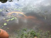 Veículo sem controle atropela pedestre e cai dentro de barragem em Campo Alegre