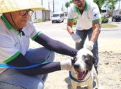São Miguel dos Campos vacina mais de 6 mil animais contra a raiva e aumenta número de imunizados em relação a 2020