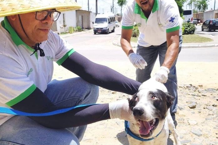 São Miguel dos Campos vacina mais de 6 mil animais contra a raiva e aumenta número de imunizados em relação a 2020