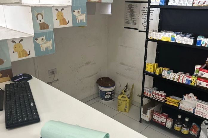Clínica veterinária é interditada em AL após fiscalização constatar cirurgias irregulares