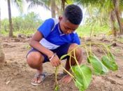 Alunos da rede municipal dão exemplo de educação ambiental em Porto de Pedras