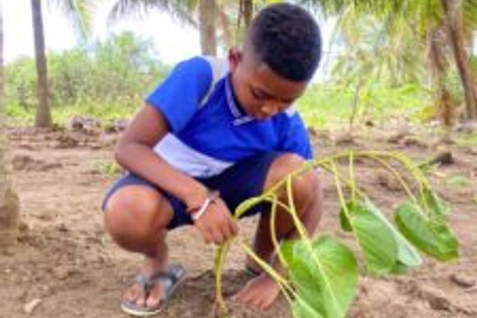 Alunos da rede municipal dão exemplo de educação ambiental em Porto de Pedras
