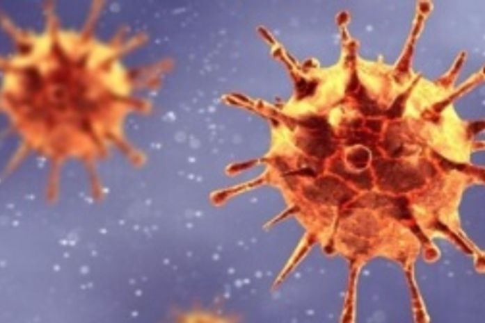 Covid-19: Brasil tem 115,3 mil mortes e 3,62 milhões de casos