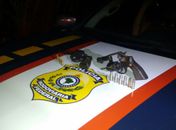 Armas apreendidas pela PRF 