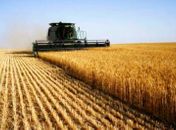 Alagoas é o terceiro estado menos competitivo para o agronegócio