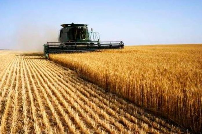 Alagoas é o terceiro estado menos competitivo para o agronegócio