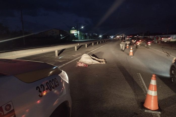 Acidente aconteceu em trecho da AL-101, em Marechal Deodoro.