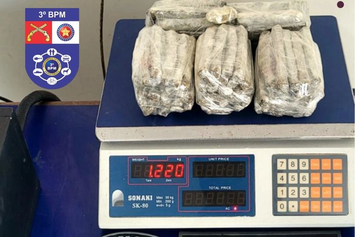Quatro pessoas são presas e drogas são apreendidas em operação policial realizada em Arapiraca