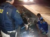 A dupla possuía um facão e canivete e estava em uma vicinal próxima à rodovia