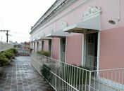 O espaço também guarda cerca de 4 mil documentos relativos à história de Alagoas, como por exemplo a Carta Régia, e exemplares publicados no final do século XI