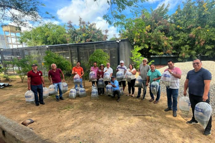 Prefeitura de Arapiraca distribui 30 mil alevinos em parceria com a Codevasf