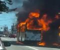 Motorista detalha momentos antes de ônibus pegar fogo na Av. Fernandes Lima; veja vídeo