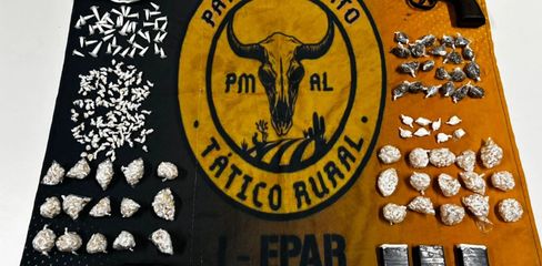 PM apreende cerca de um quilo de drogas, armas e munições escondidas em teto e cômodos de residência