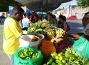 Semada Penedo amplia a inclusão de produtores na Feira da Agricultura Familiar