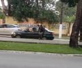 Vaca “turista” interrompe trânsito na Durval de Góes Monteiro, em Maceió