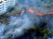 Vídeo: incêndio atinge área verde próxima a condomínios residenciais no bairro do Poço