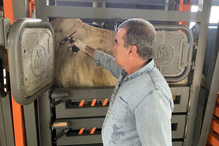 Atenção, criador: prazo para a declaração da aftosa se encerra na próxima quarta-feira