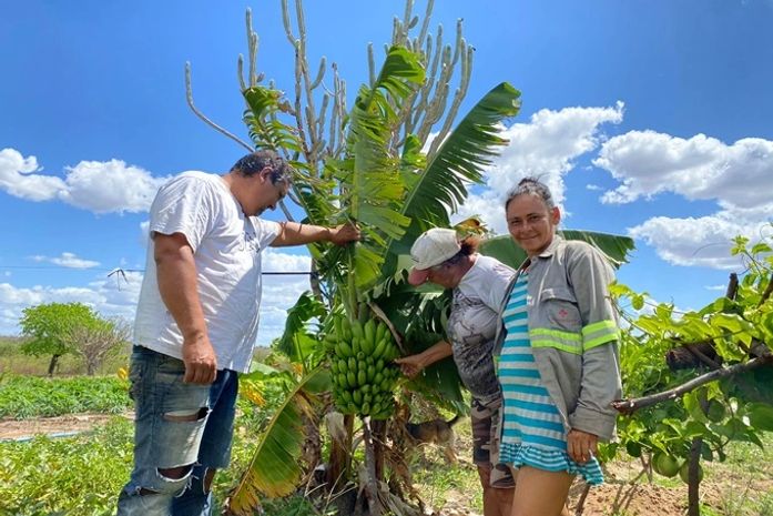 Delmiro Gouveia receberá 2ª Feira da Reforma Agrária do MST
