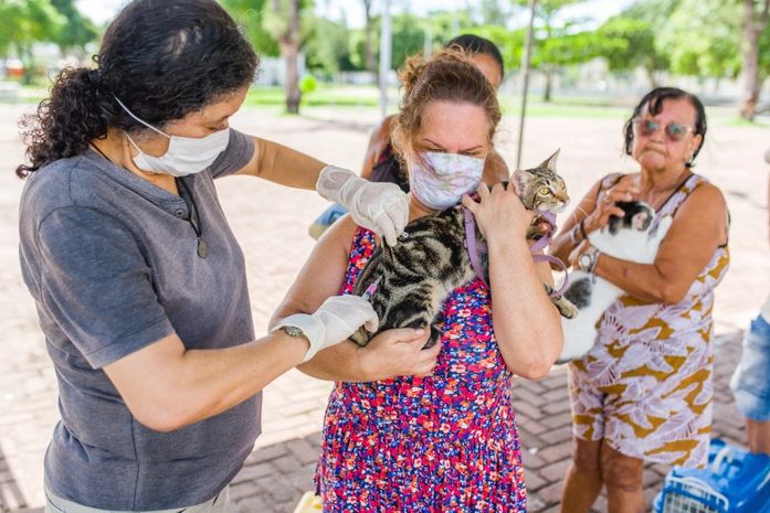 Unidade de Zoonoses promove vacinação antirrábica e feira de adoção no Graciliano Ramos neste sábado (21)