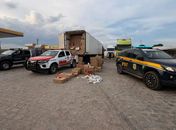 Carga de cigarros contrabandeados avaliada em R$ 1,5 milhão é apreendida no Agreste de Alagoas