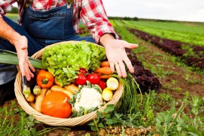 Agricultores de Penedo são orientados para vender ao poder público