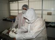 Papiloscopistas durante coleta de digitais de corpos não identificados.