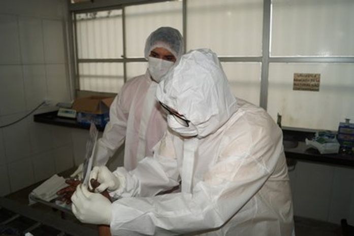 Papiloscopistas durante coleta de digitais de corpos não identificados.