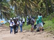 Praias e corais recebem limpeza no Clean up day