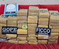 Tráfico entre estados: operação tem prisão em Maceió e apreensão de 50 kg de maconha