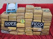 Tráfico entre estados: operação tem prisão em Maceió e apreensão de 50 kg de maconha