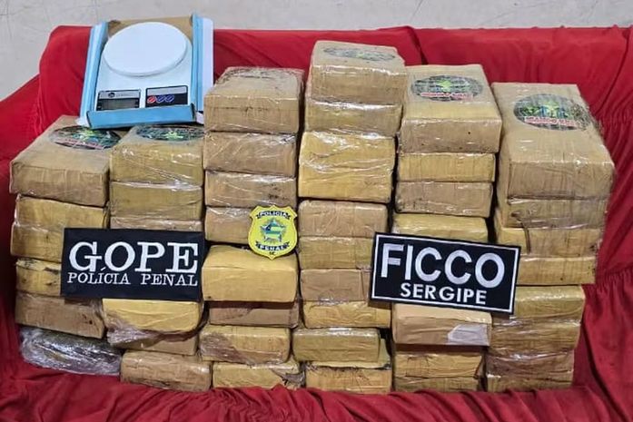 Tráfico entre estados: operação tem prisão em Maceió e apreensão de 50 kg de maconha