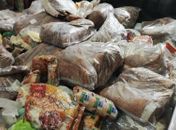 Vigilância Sanitária de Maceió fiscaliza laticínio e apreende 750 kg de produtos clandestinos e estragados 