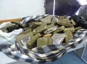 Apreensão de drogas