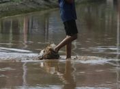 Temporada de chuvas acende alerta para doenças e Prefeitura de Palmeira reforça orientações à população