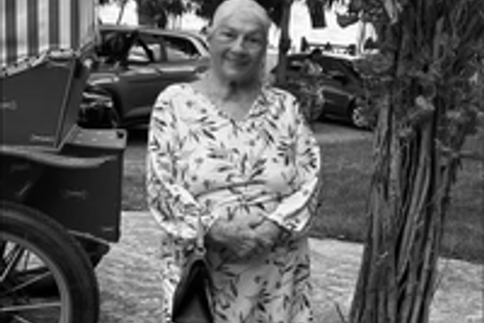 Aprovada Moção de Pesar pelo falecimento da empresária Helena Tereza