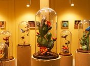 Exposição "meu mundo de papel"