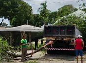 Caçamba desgovernada atravessa canteiro, atinge carro e barraca próxima à Ufal, em Maceió