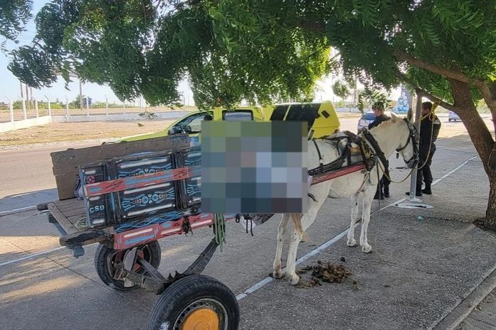 Homem é encontrado morto em carroça de burro em Arapiraca