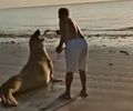 Imagens mostram homem interagindo com elefante-marinho em praia de AL; Instituto faz alerta