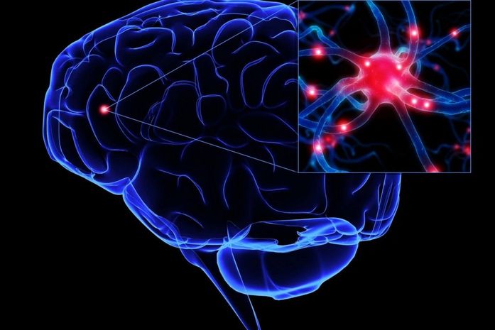 "De cientista e louco, todo mundo tem um pouco"