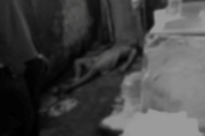 Homem é morto a tiros no quintal de casa em São José da Laje