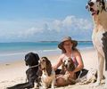 Férias chegam e trazem um dilema: viajar ou não com os pets?