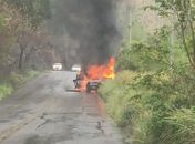 Veículos ficam em chamas após colisão na AL-210, em Cajueiro