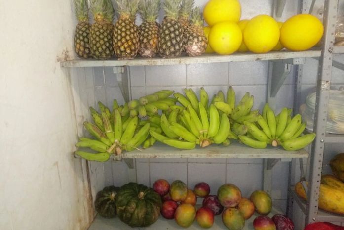 Casa de Apoio aos delmirenses em Maceió segue abastecida com alimentos