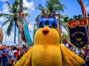 Maceió: carreta cultural do Pinto da Madrugada vai agitar o Carnaval