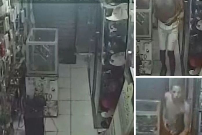 Câmeras flagram assalto a loja de importados