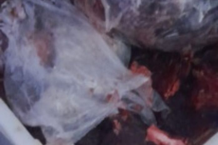 Vigilância Sanitária apreende 120 kg de carne estragada no Tabuleiro