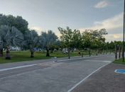 Prefeitura de Arapiraca decreta ponto facultativo nesta quinta-feira (28)